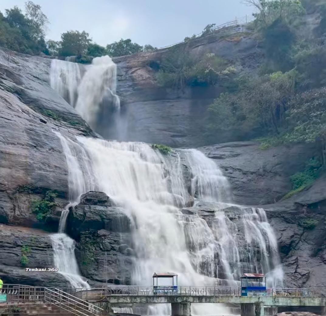 அருவியில் சுற்றுலா பயணிகள் குளிக்க அனுமதி.